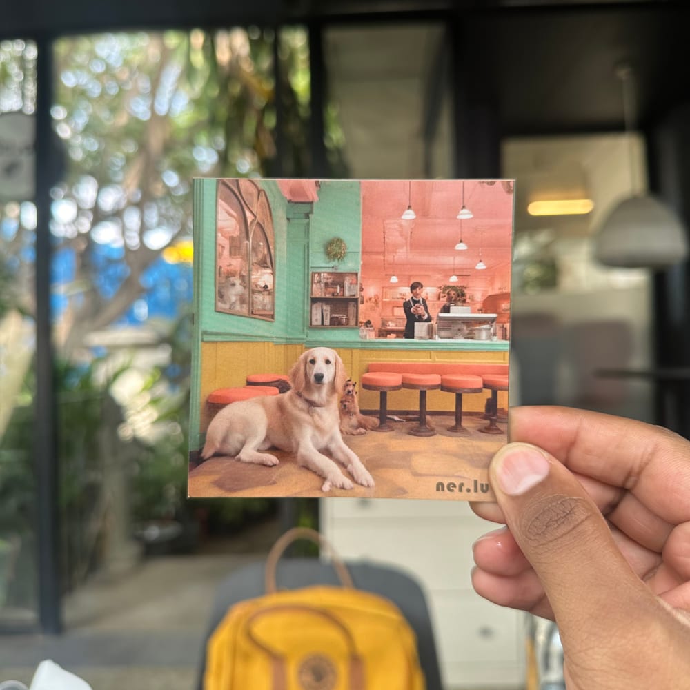 Nerlu coaster 20
