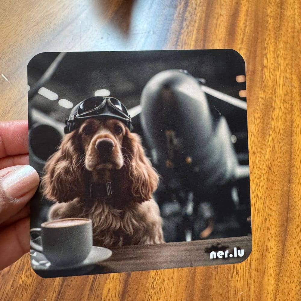 Nerlu coaster 119