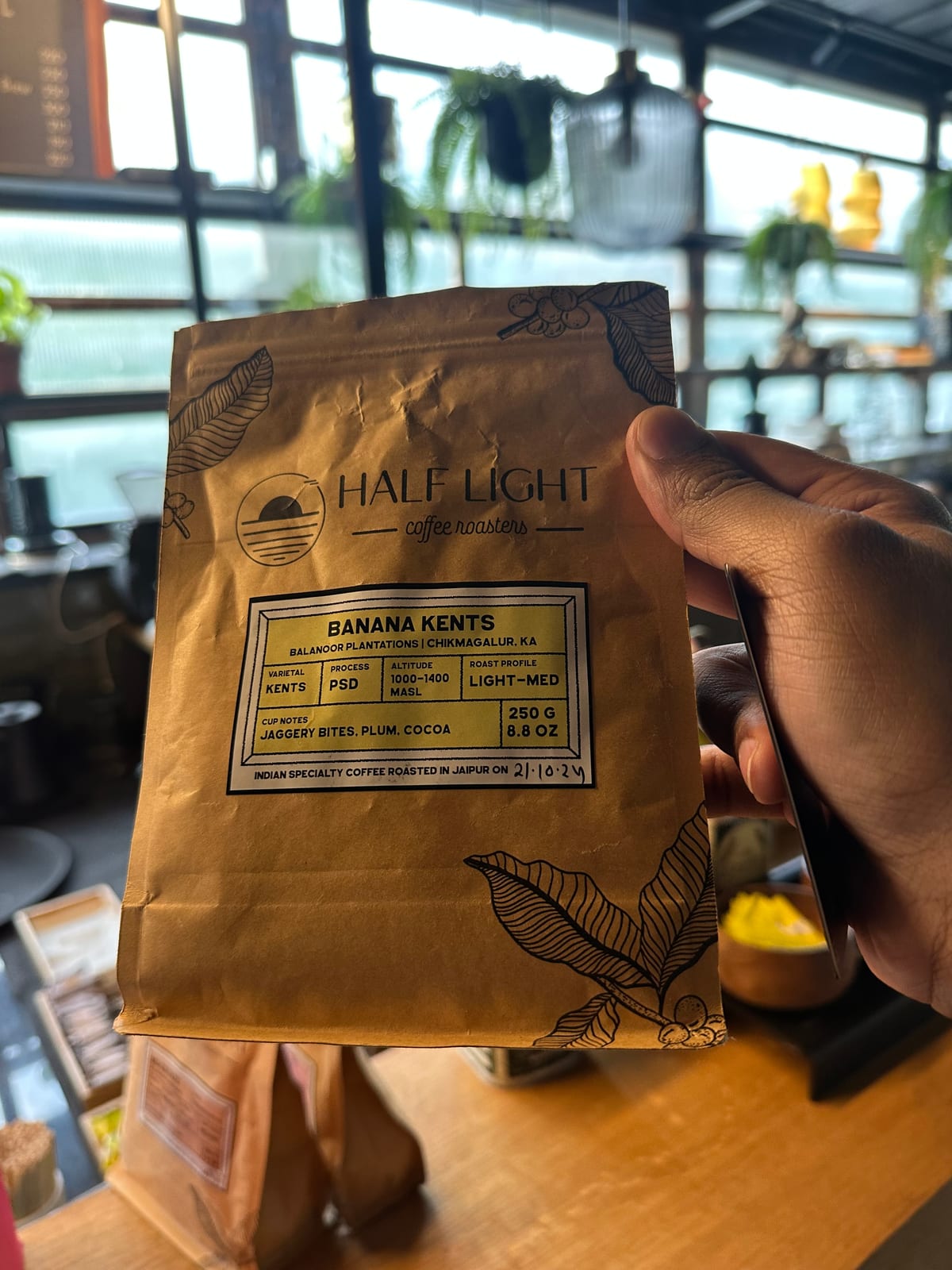 Banana Kents by Half Light