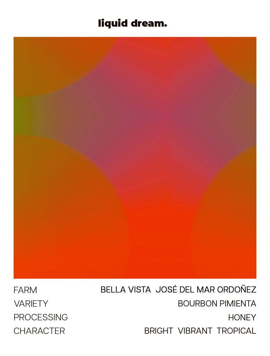 Bella Vista by Liquid Dream
