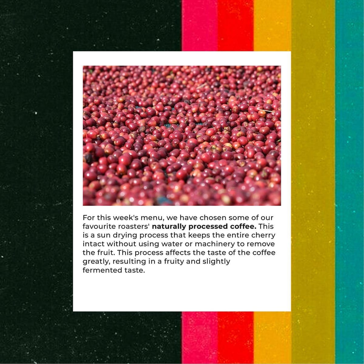 Menu photo from Naturals Week (Multi-Roaster Discovery Menu)