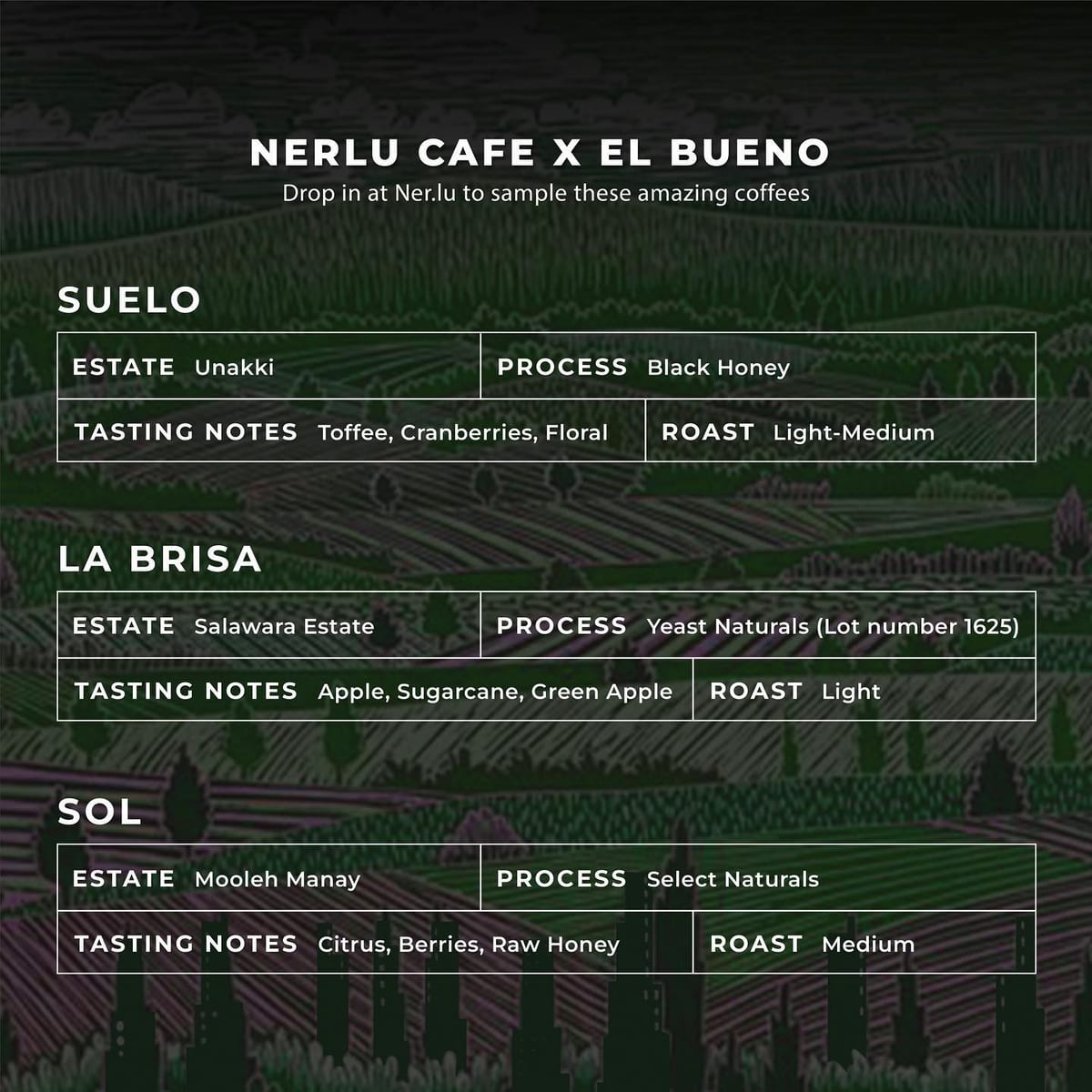 Menu photo from El Bueno Coffee Roasters