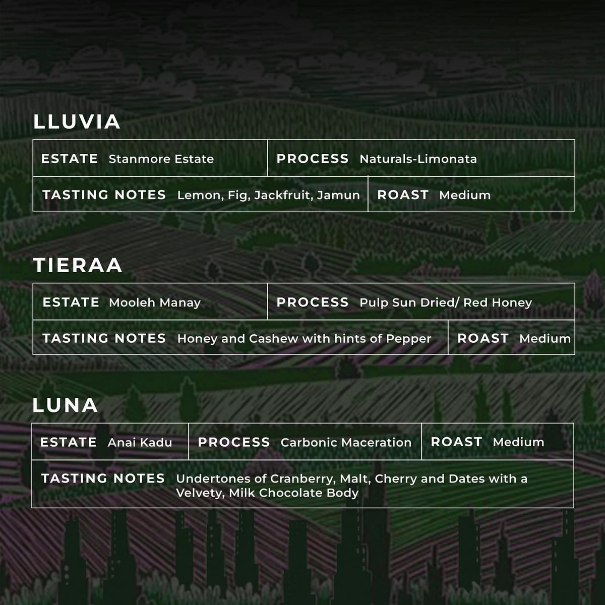 Menu photo from El Bueno Coffee Roasters