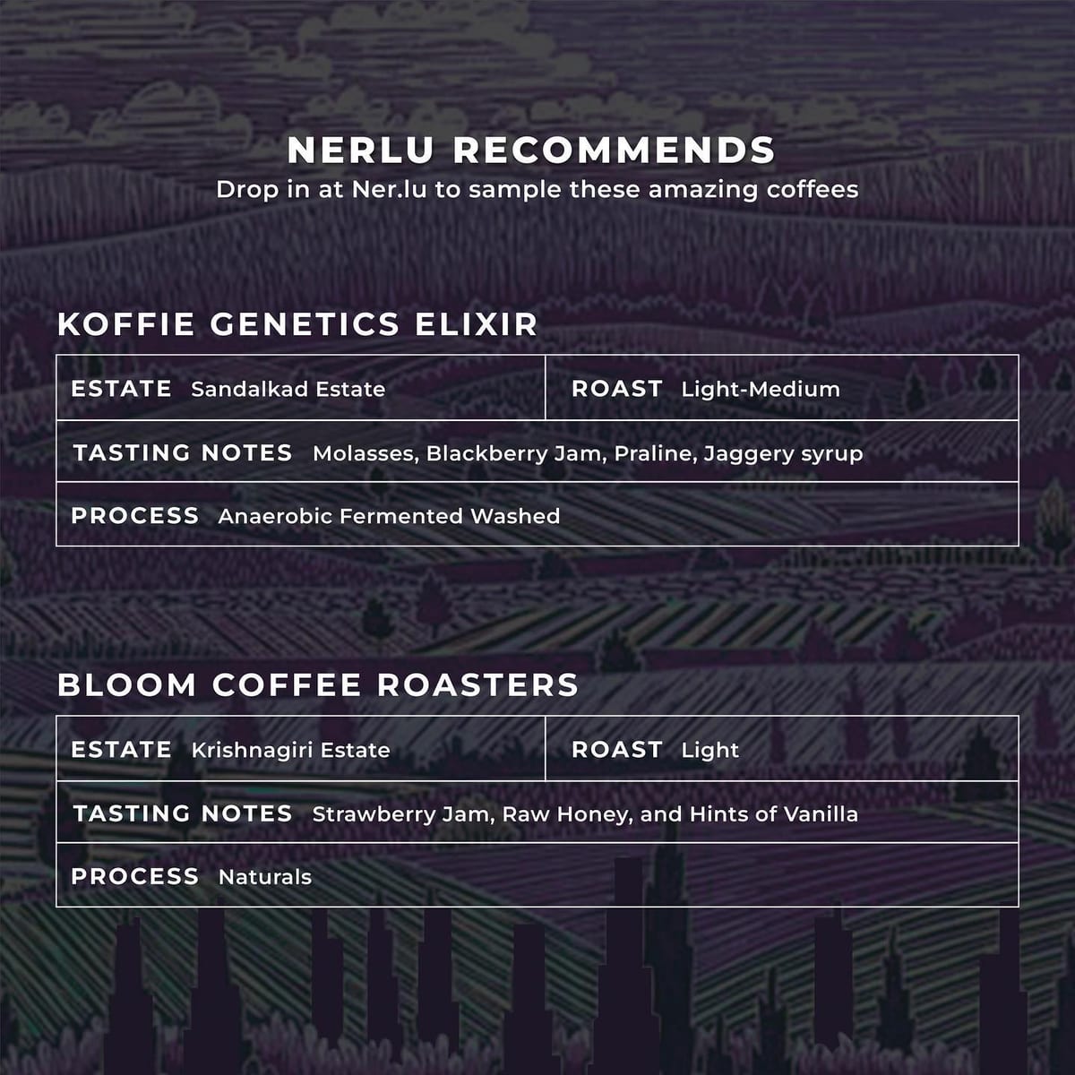 Menu photo from Nerlu x Arpan (Discover / Guest Curator)