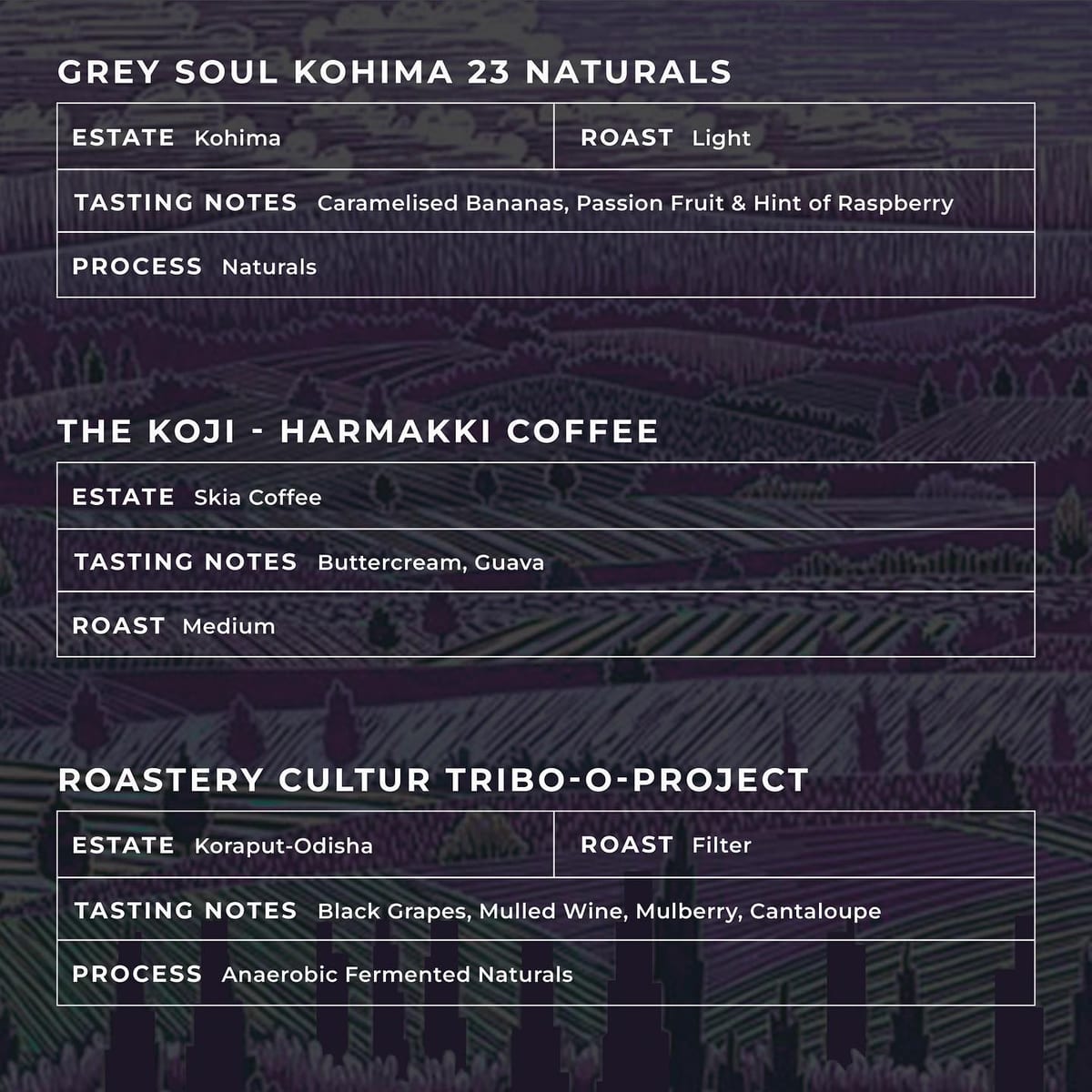 Menu photo from Nerlu x Arpan (Discover / Guest Curator)