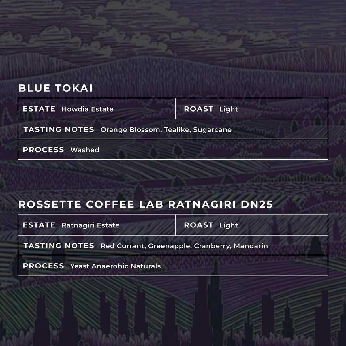 Menu photo from Nerlu x Arpan (Discover / Guest Curator)