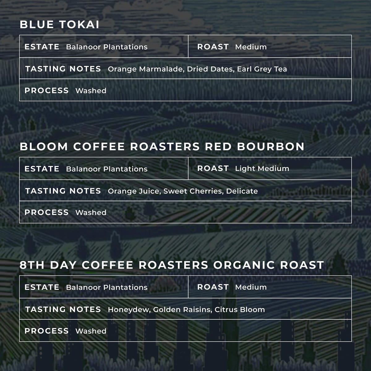 Menu photo from Rohan x Nerlu (Balanoor Plantations Multi-Roaster)