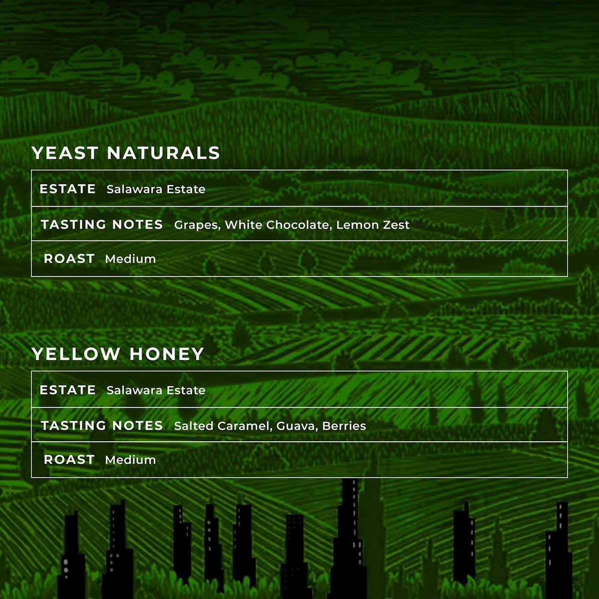 Menu photo from Salawara x Nerlu (Single Estate, Six Processes)