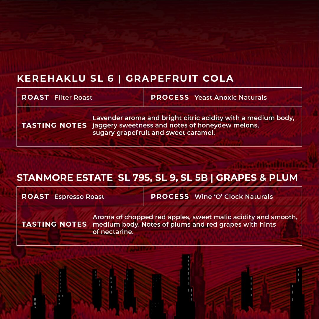 Menu photo from Naivo Café