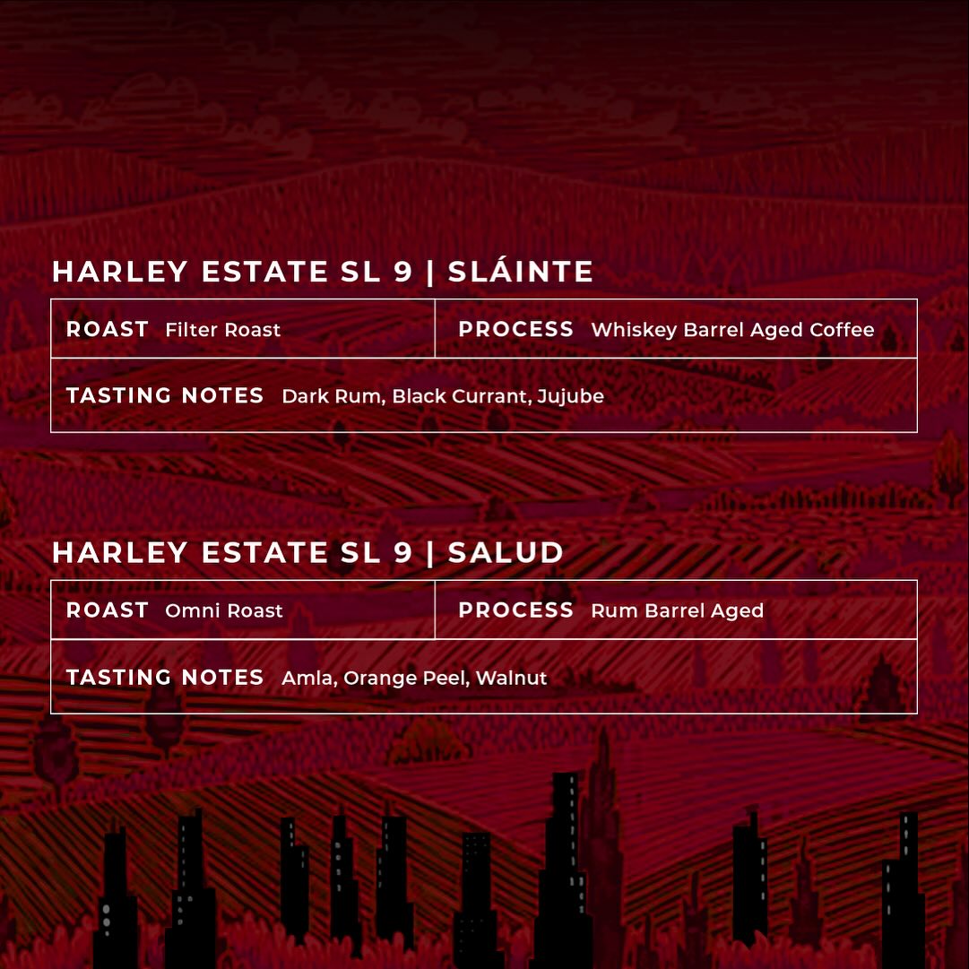 Menu photo from Naivo Café