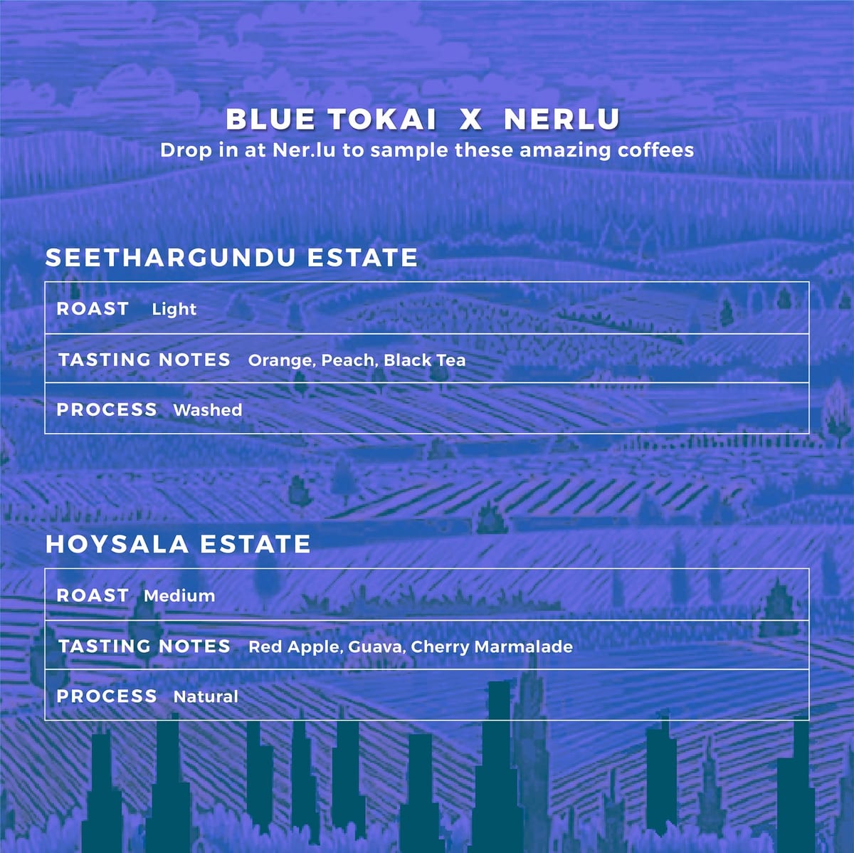 Menu photo from Blue Tokai Coffee Roasters