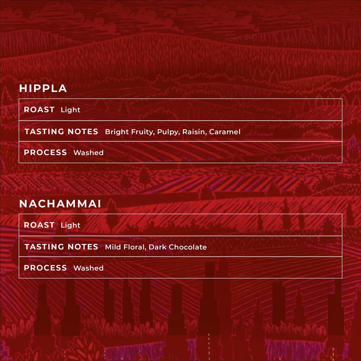 Menu photo from Beachville Coffee Roasters